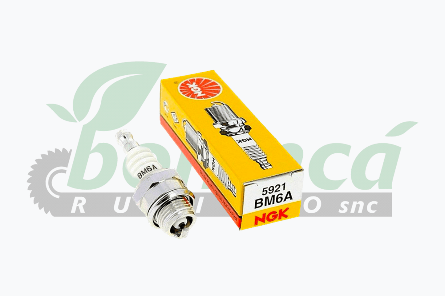 Candela NGK BM6A