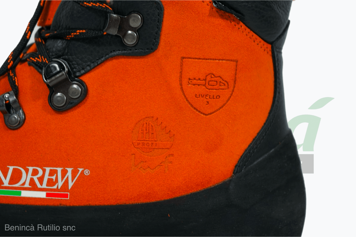 Scarponi Andrew Rozes Wood/P