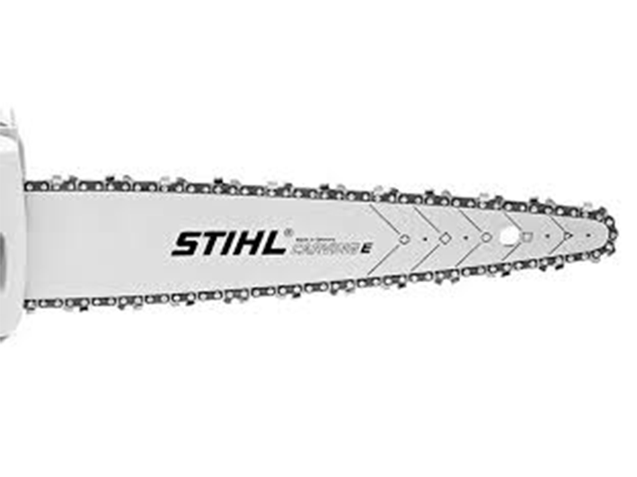 Spranga e catena carving Stihl