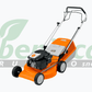 Tosaerba STIHL RM 253 T