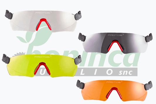 Lunettes de sécurité Protos Integral Forest